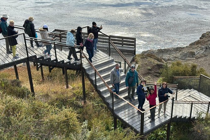 Fuerte Bulnes Shore Tour for Cruisers in Punta Arenas - Key highlights to look forward to