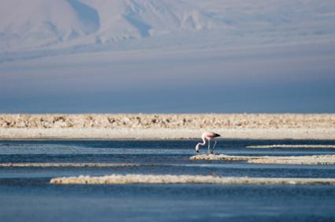 Full Atacama - SORBAC (private groups) - Key highlights at a glance