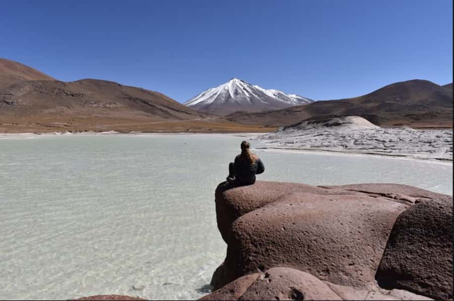 Full day Altiplanic Lagoons, Piedras Rojas and Chaxa Lagoon - Chaxa Lagoon at Salar de Atacama: Walkways, Flamingos, and Quiet Desert Wonder