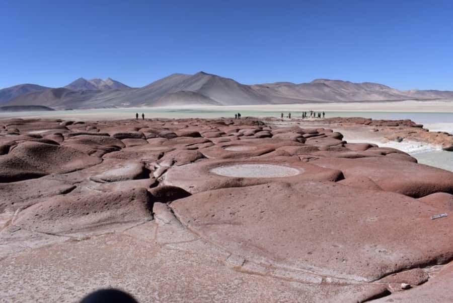 Full day Altiplanic Lagoons, Piedras Rojas and Chaxa Lagoon - Lunch Included, Then Piedras Rojas and Its Intense Red Color