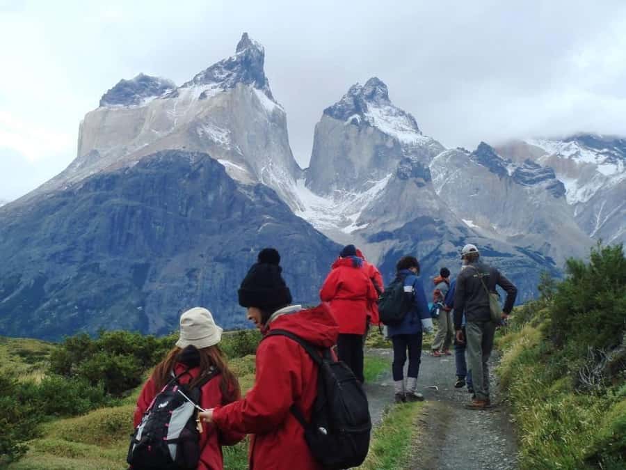 Full-day excursion to Torres del Paine National Park - Matias, language pairing, and how guides handle fog and timing