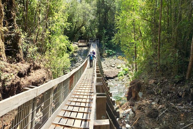 Full day HIKE Alerce Andino Parque Nacional. - Carretera Austral ride: Reloncaví fjord views before you hike