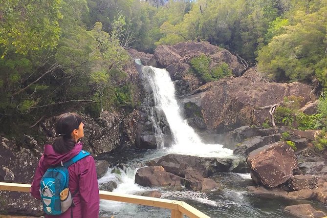 Full day HIKE Alerce Andino Parque Nacional. - Price and value: is $200 per person worth it?