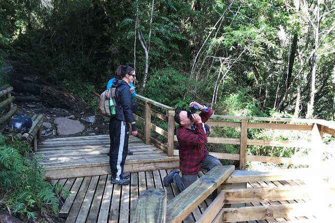 Full day HIKE Alerce Andino Parque Nacional. - Who this tour fits best (and who might prefer another plan)