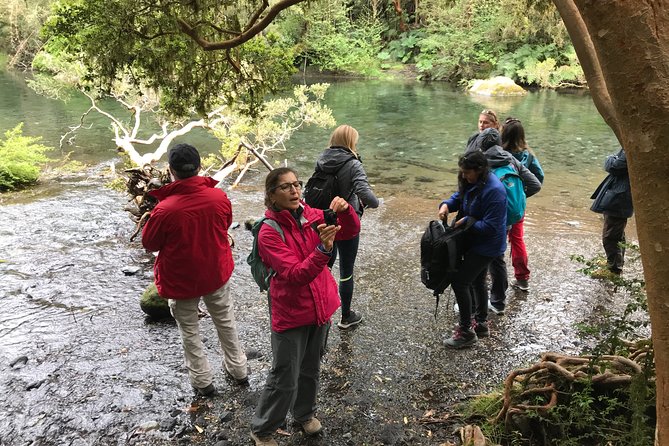 Full day Hiking Solitario trail, Osorno Petrohue Falls - Key things that make this hike worth it