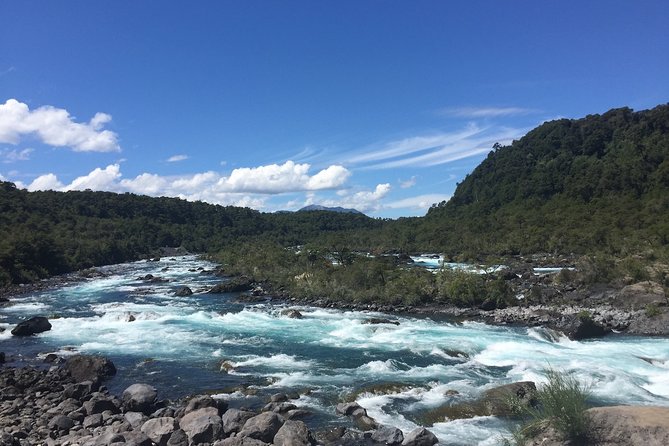 Full day Hiking Solitario trail, Osorno Petrohue Falls - Solitario trail: from wet forest to drier volcanic ground