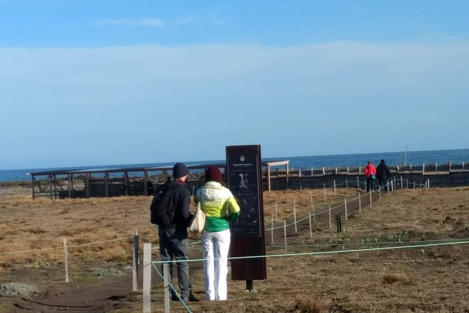 FULL DAY KING PENGUIN COLONY (private tours) - Plaza Selknam: a short cultural stop that gives meaning to the scenery
