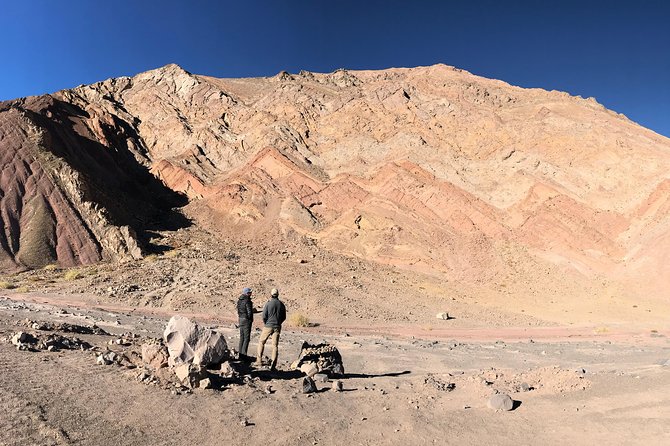 Full Day Nevado Tres Cruces National Park - Price and value: is $590 a smart trade?