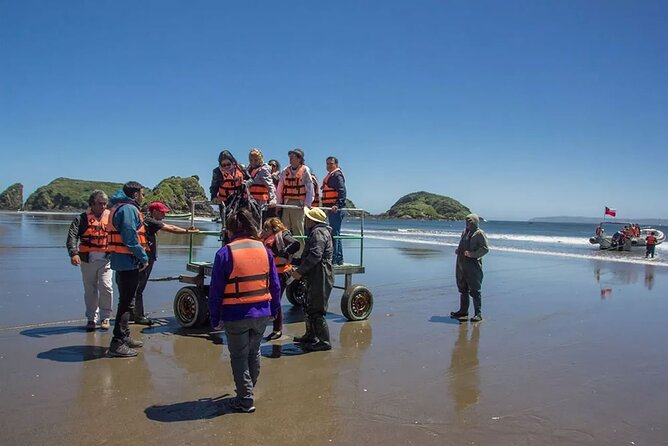 Full Day on Chiloé Island Visiting Penguins in Puñihuil - Key things you’ll notice on this Chiloé penguin day