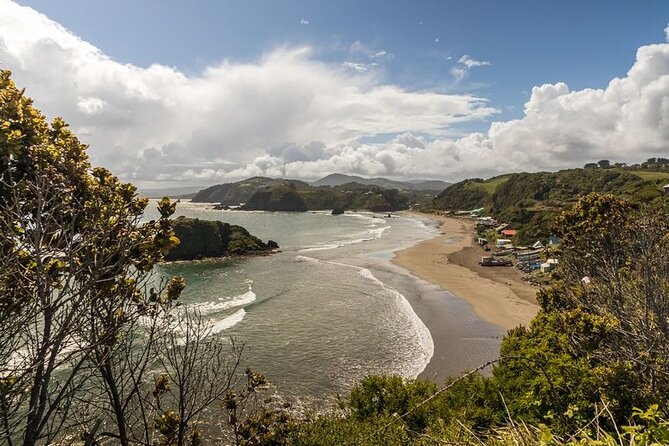 Full Day on Chiloé Island Visiting Penguins in Puñihuil - Caulín beach, oysters, and marine life along the Pacific