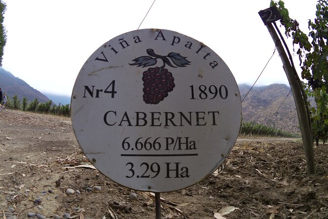 Full Day Private Colchagua Wine Tour from Santiago - Stop 4: Viña Neyen de Apalta, a final tasting with centenary character