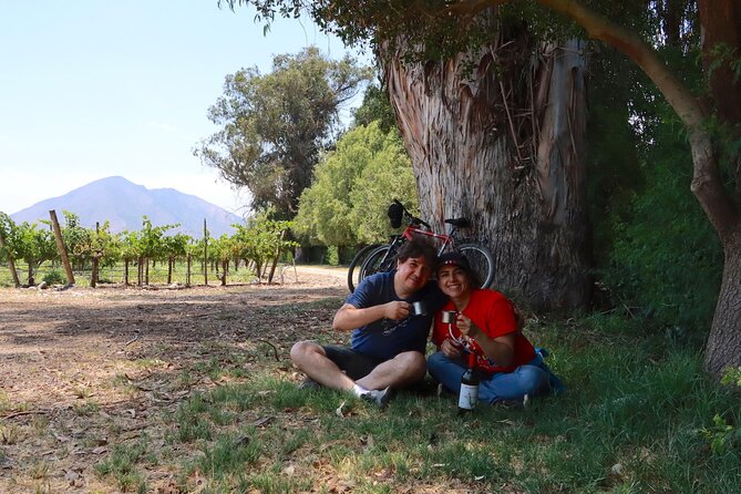 Full-Day Private Maipo Valley Bike Tour and Wine Tasting from Santiago - Who should book this private bike-and-wine day