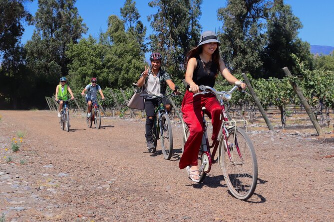 Full-Day Private Maipo Valley Bike Tour and Wine Tasting from Santiago - The 9:00 am start: how the day begins and why it sets the tone