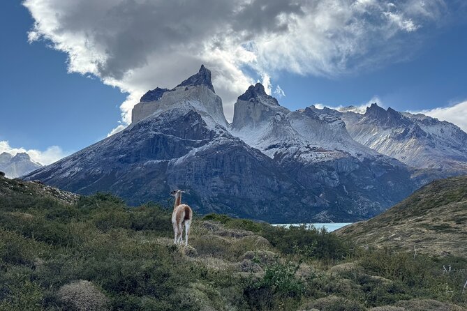 Full Day Private Torres del Paine - Cascada del Rio Paine to Nordenskjöld Lake: Waterfall to Postcard View