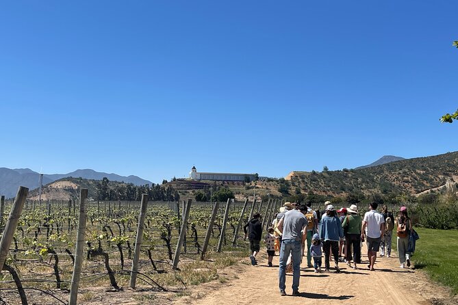 Full Day Private Tour in Casablanca Valparaíso and Viña del Mar - Key Highlights You’ll Actually Feel During This Tour