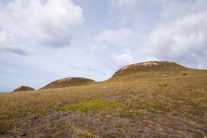 Full day Private Tour: Poike Walk through the abandoned area - Why the Poike Walk feels more like exploration than a standard tour