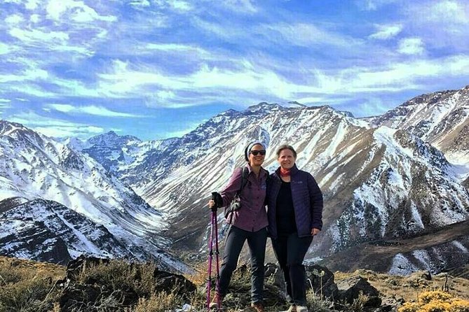 Full Day Private Tour to Torres del Paine - Key Points Before You Commit