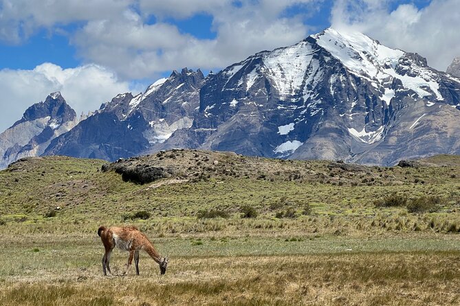 Full Day Private Tour to Torres del Paine - Price and value: what $350 per person really covers