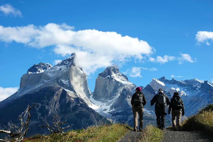 Full-Day Torres del Paine National Park from El Calafate - Key things that make this tour work