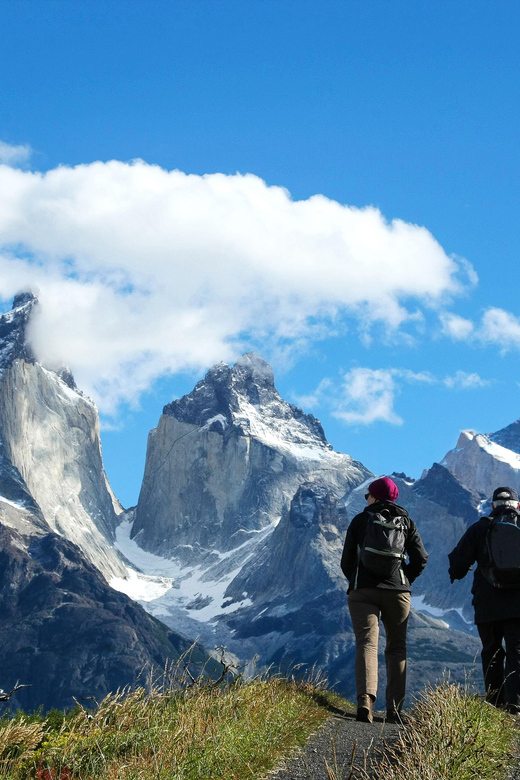 Full-Day Torres del Paine National Park from El Calafate - What you’ll likely see: wildlife and the “watch for the guide calls” approach
