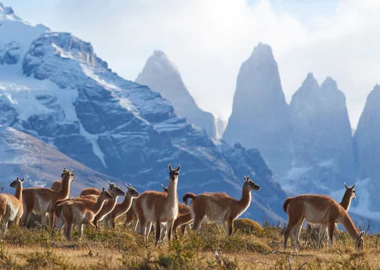 Full-Day Torres del Paine National Park from El Calafate - The core Torres del Paine time: short walks and big views