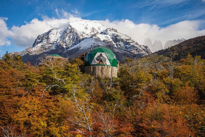 Full Day Torres del Paine Tour from Puerto Natales with Pickup - A full-day Torres del Paine itinerary that stays realistic