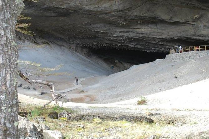 Full Day Torres del Paine - The Morning Plan: Torres del Paine First, Then Easy Walks