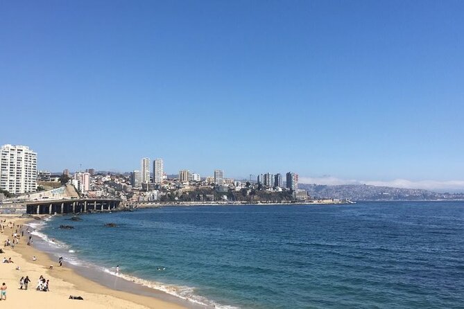 Full Day Tour in Valparaiso and Vina del Mar - Cerro Alegre’s Art, Murals, and That Pisco Bar View