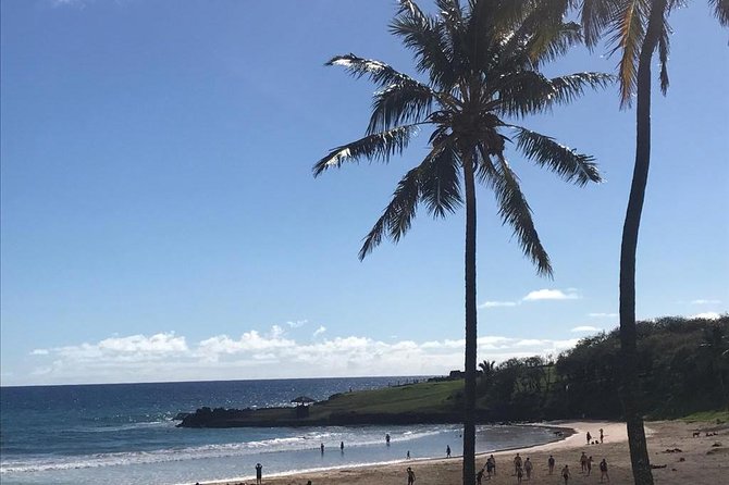 Full Day Tour - The Land of Hotu Matu´a - Stop 1: Ahu Vaihu, the replica village and what happened to the moai