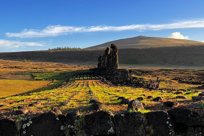 Full Day Tour: The Moai Trail - Stop 6: Anakena Beach, free time, white sand, palm shade, and moai nearby