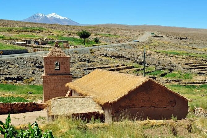 Full day tour to Piedras Rojas with Lunch - Miscanti and Miñiques Lagoons: sister waters, included entry, real wildlife chances