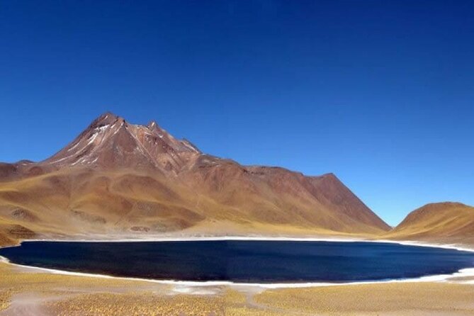 Full day tour to Piedras Rojas with Lunch - Laguna Chaxa in Salar de Atacama: birds plus a classic salt-flat feel