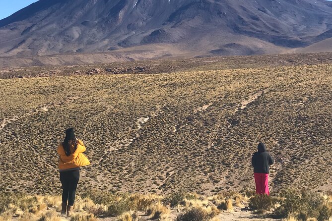 Full Day Tour to Ruta de los Salares - Stop 3: Salar de Pujsa, a Salt Flat Stop That’s About More Than Salt