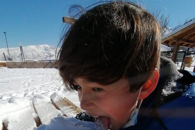 Full Day Tour to Valle Nevado and Panoramic Farellones - Farellones: the longest stop for panoramas, snow time, and park options