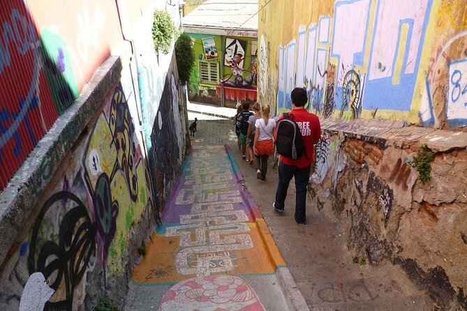 Full day Tour Viña del Mar & Valparaiso Highlights from Santiago - Who this tour suits best (and who might want something else)