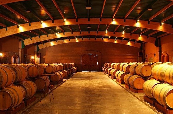 Full Day Viña Casas del Bosque + Viña del Mar Valparaíso - Alcoholic beverages, tastings, and a smarter way to do both cities