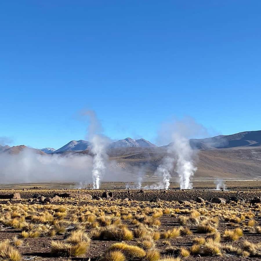 Geysers del Tatio: Sunrise and breakfast in Atacama - What to Bring and Who Should Skip This One