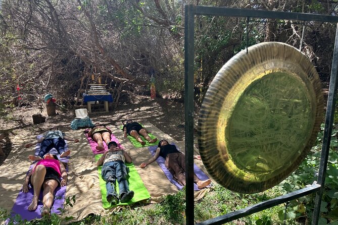 Gong Bath in the Magic Forest in San Pedro de Atacama - The First Act: A Guided Spiritual Path Through Native Trees