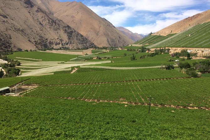 Grand Tour Elqui Valley Heavenly Paradise of Sacred Mountains - Entering the Elqui Valley: what this day trip actually feels like