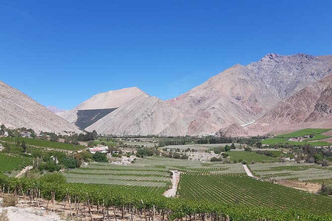 Grand Tour Elqui Valley Heavenly Paradise of Sacred Mountains - From terraces and old towns to Coquimbito’s early conquest sites