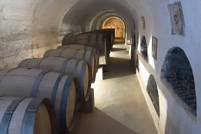 Grand Tour Elqui Valley Heavenly Paradise of Sacred Mountains - Pisco stops: Capel cooperative tasting and the walk into Pisco Elqui