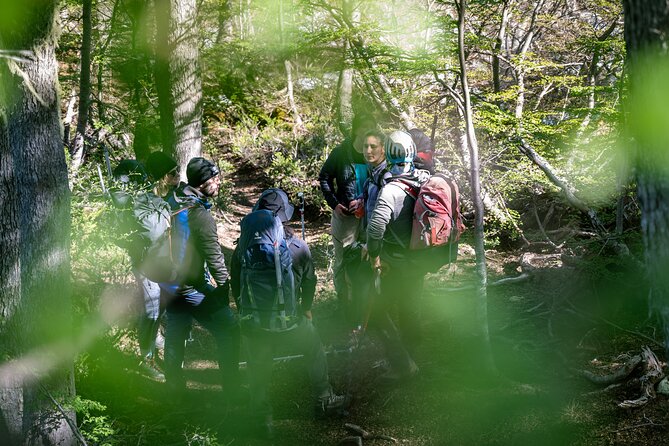 Guided ascent to the Quetrupillán volcano from Pucón - Stop 1: Parque Nacional Villarrica, where the scenery starts doing the work