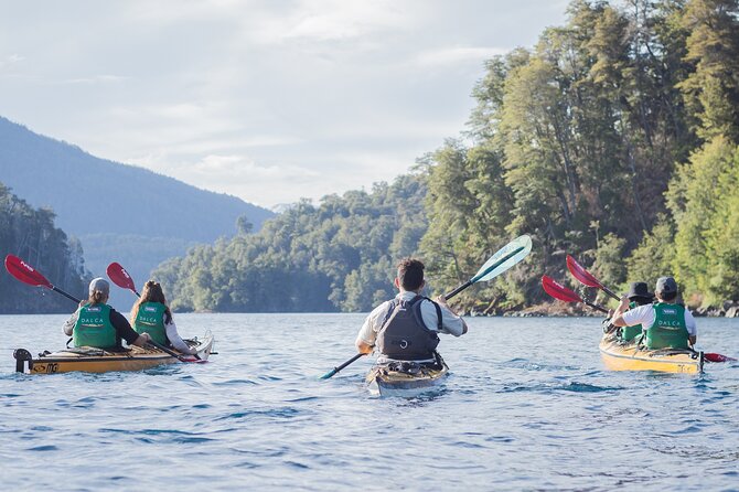 Guided Half Day Kayak Tour with Picnic in Villa la Angostura - Key things you’ll notice right away