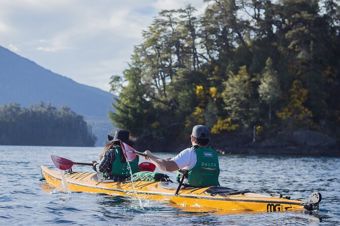 Guided Half Day Kayak Tour with Picnic in Villa la Angostura - The half-day flow, about four hours of paddling and breaks