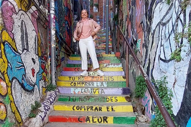 Guided Valparaíso Viña del Mar Shore Excursion with Pick Up - Key Highlights You’ll Appreciate Fast
