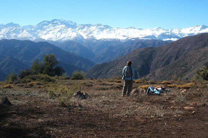 Half-Day Private Andes Hiking Tour from Santiago, carbon neutral. - Your Morning Timeline: Pickup at 7:30, Hike, Then Back Midday