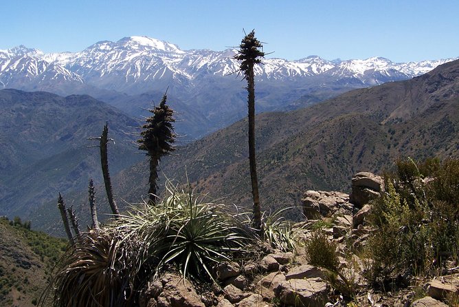 Half-Day Private Andes Hiking Tour from Santiago, carbon neutral. - Where You Go: Andes Mountains Views in Two Directions