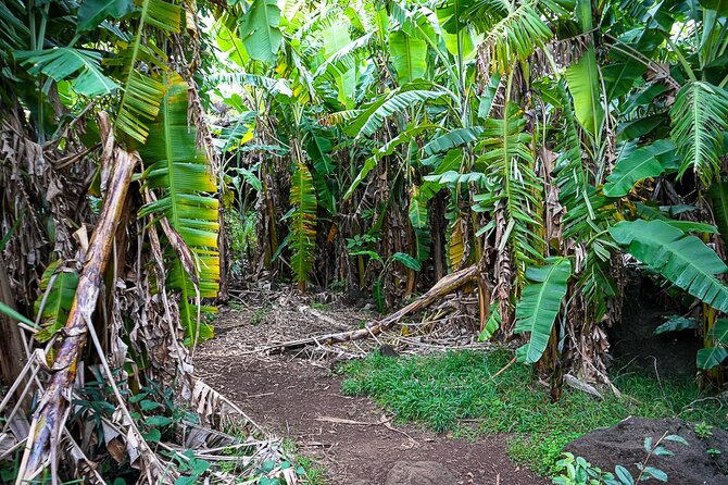 Half Day Private Tour: Caves and Volcanic Refuges - Why This Half Day Works So Well on Rapa Nui