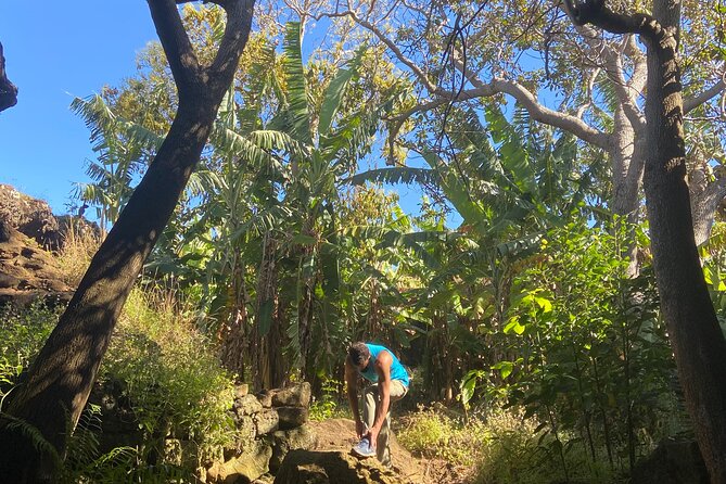 Half Day Private Tour: Caves and Volcanic Refuges - What Makes the Tour Experience Actually Feel Good