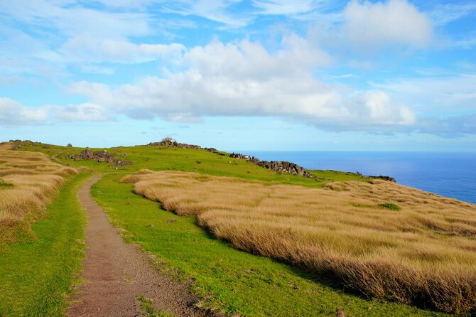 Half Day Private Tour: Rano Kau and Orongo the City of Kings - Price and value: what you pay, what it covers, and what can go wrong